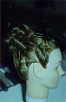 Plant 5